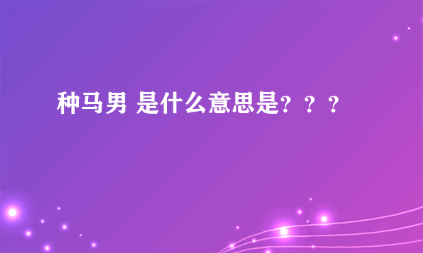 种马男 是什么意思是？？？