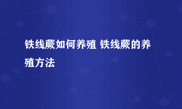 铁线蕨如何养殖 铁线蕨的养殖方法