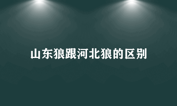 山东狼跟河北狼的区别