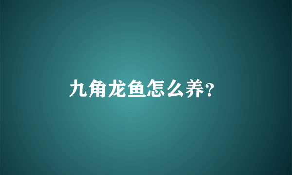 九角龙鱼怎么养？