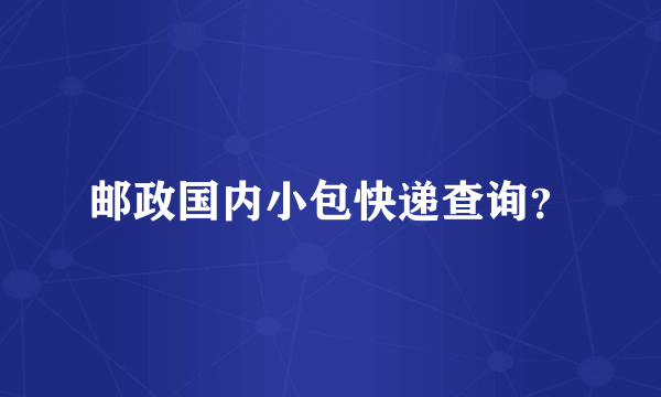 邮政国内小包快递查询？