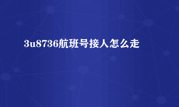 3u8736航班号接人怎么走