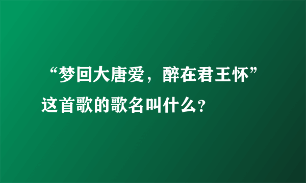 “梦回大唐爱，醉在君王怀”这首歌的歌名叫什么？