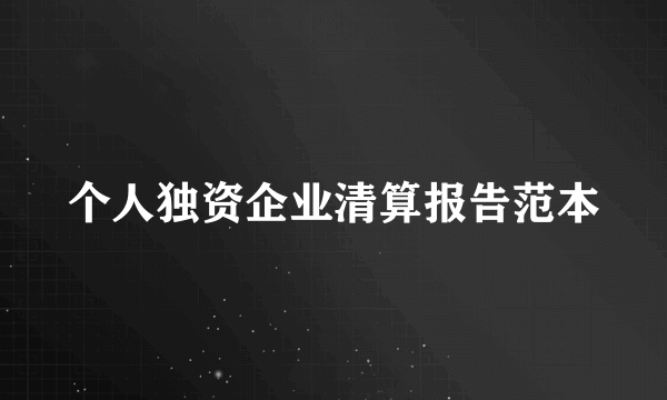 个人独资企业清算报告范本