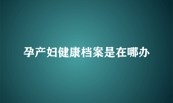 孕产妇健康档案是在哪办