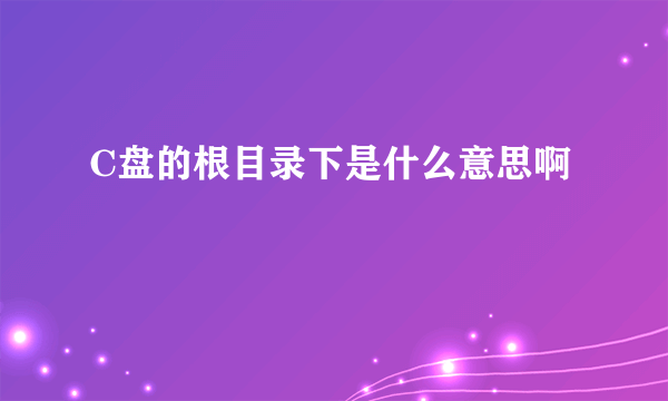 C盘的根目录下是什么意思啊