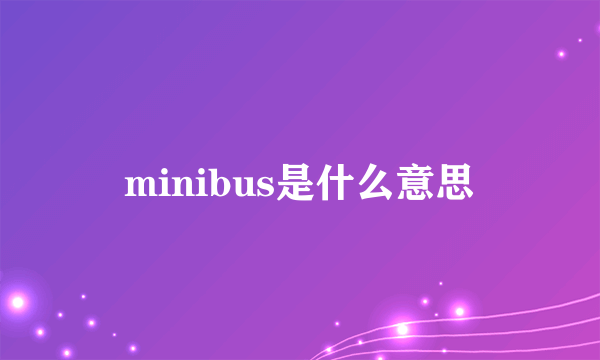 minibus是什么意思