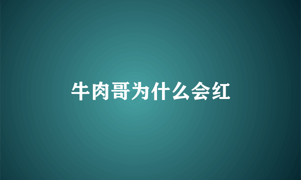 牛肉哥为什么会红