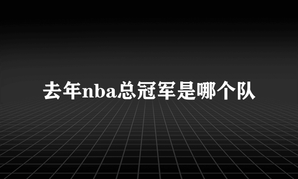 去年nba总冠军是哪个队