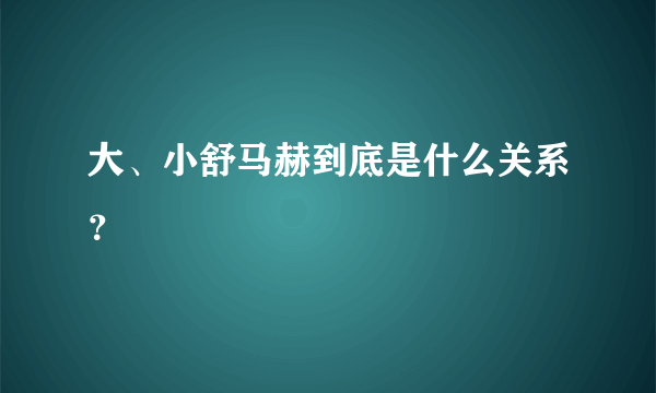 大、小舒马赫到底是什么关系？