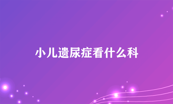 小儿遗尿症看什么科