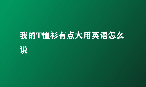 我的T恤衫有点大用英语怎么说