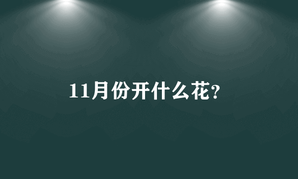 11月份开什么花？