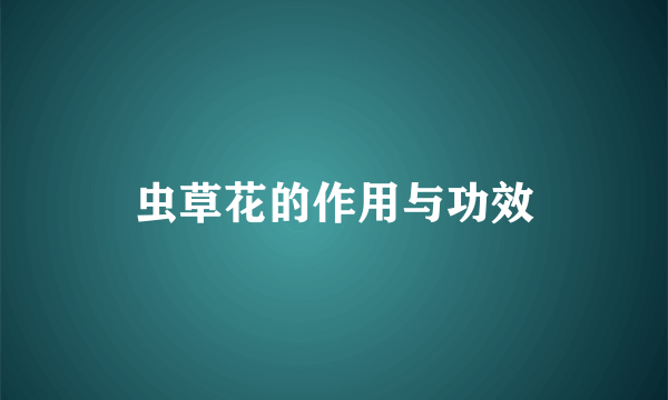 虫草花的作用与功效