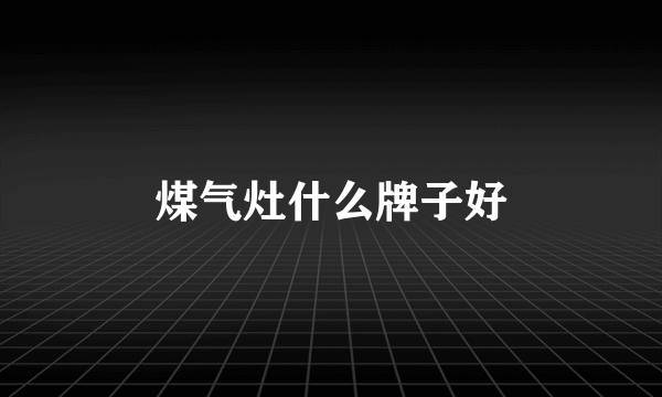 煤气灶什么牌子好