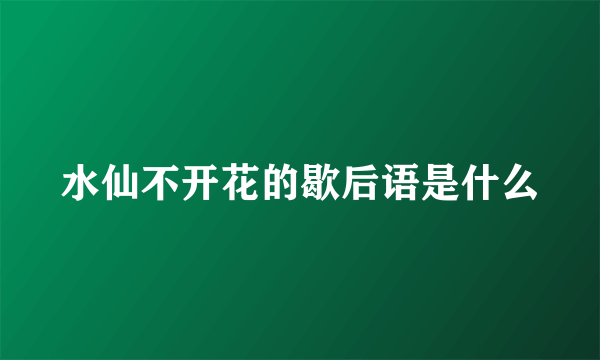 水仙不开花的歇后语是什么
