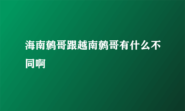 海南鹩哥跟越南鹩哥有什么不同啊