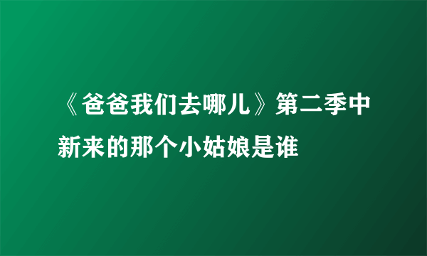 《爸爸我们去哪儿》第二季中新来的那个小姑娘是谁