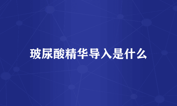 玻尿酸精华导入是什么
