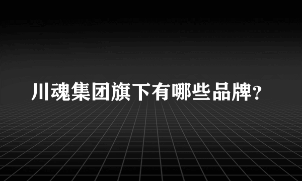 川魂集团旗下有哪些品牌？