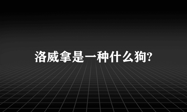 洛威拿是一种什么狗?