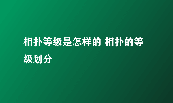 相扑等级是怎样的 相扑的等级划分