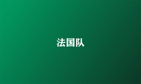 法国队