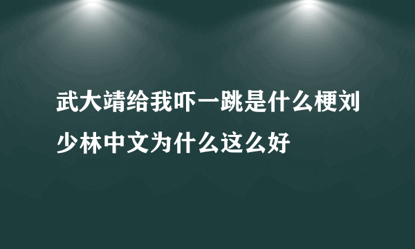 武大靖给我吓一跳是什么梗刘少林中文为什么这么好