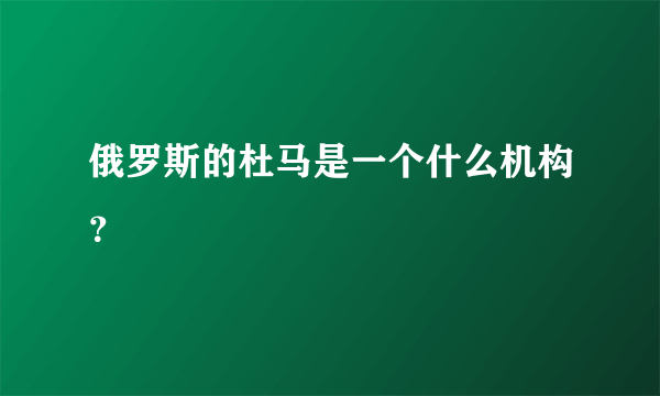 俄罗斯的杜马是一个什么机构？