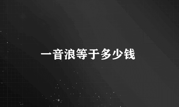 一音浪等于多少钱 