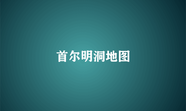 首尔明洞地图