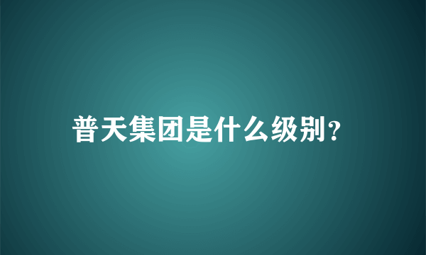 普天集团是什么级别？