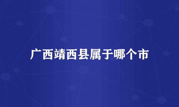 广西靖西县属于哪个市