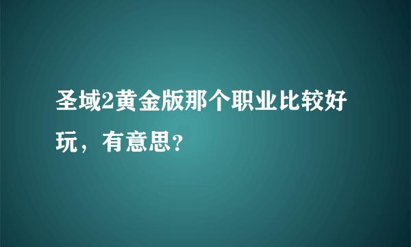 圣域2黄金版那个职业比较好玩，有意思？