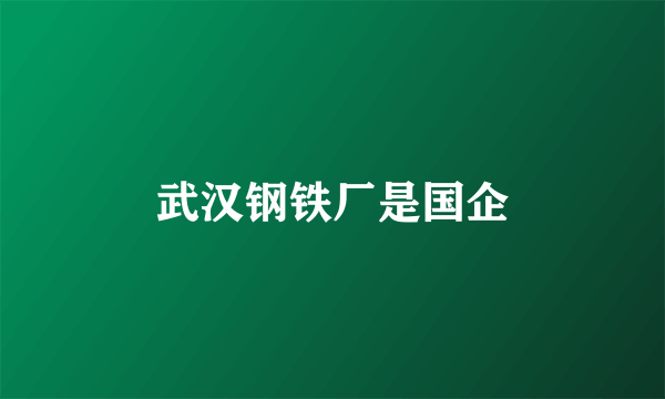 武汉钢铁厂是国企
