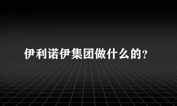 伊利诺伊集团做什么的？