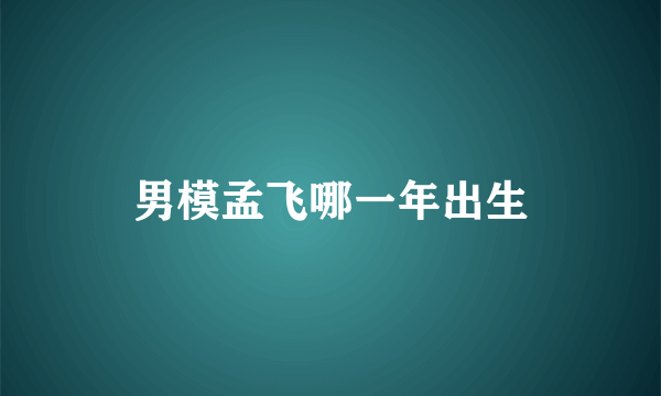 男模孟飞哪一年出生
