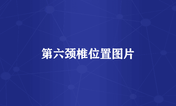 第六颈椎位置图片
