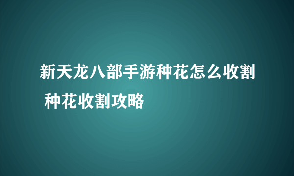 新天龙八部手游种花怎么收割 种花收割攻略