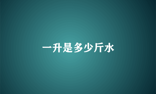 一升是多少斤水
