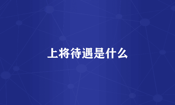 上将待遇是什么