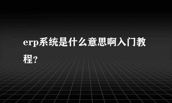 erp系统是什么意思啊入门教程？