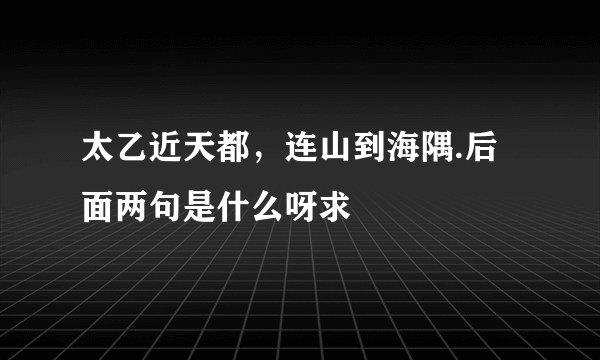 太乙近天都，连山到海隅.后面两句是什么呀求