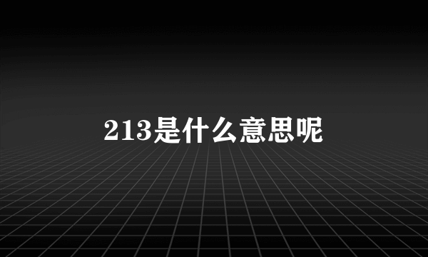 213是什么意思呢