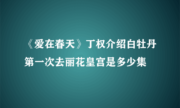 《爱在春天》丁权介绍白牡丹第一次去丽花皇宫是多少集
