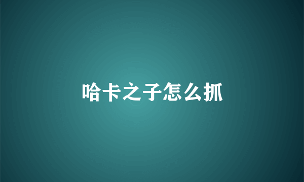 哈卡之子怎么抓