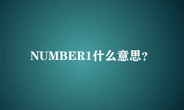 NUMBER1什么意思？
