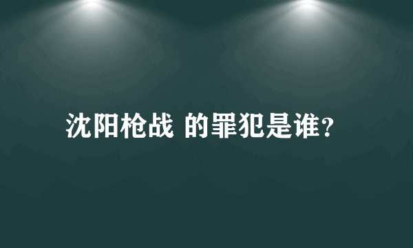 沈阳枪战 的罪犯是谁？