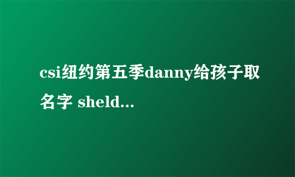 csi纽约第五季danny给孩子取名字 shelden吐槽他，danny走时，意味深长的说seeyoulatershelden什么意思