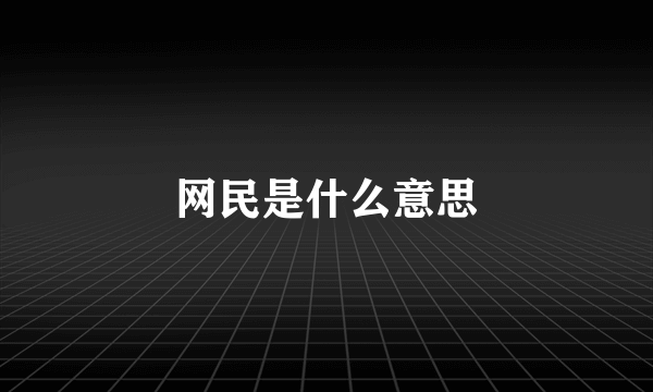 网民是什么意思